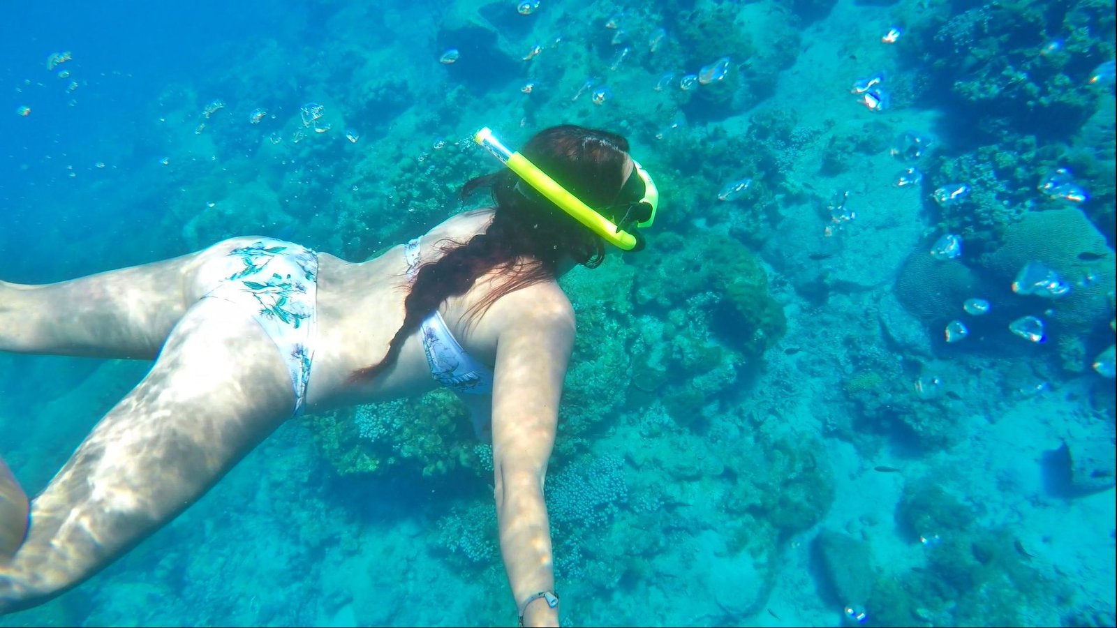 Dash and Splash Snorkel Adventure St Lucia