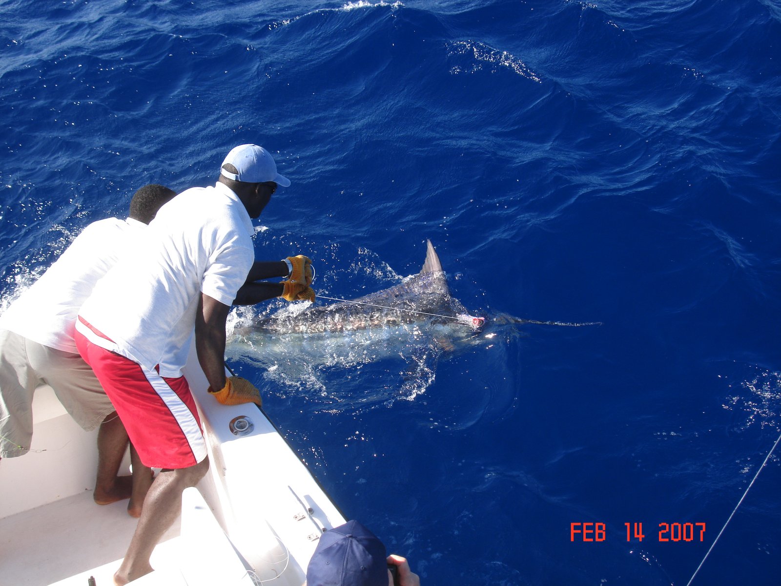 Private Fishing in St Lucia Charters