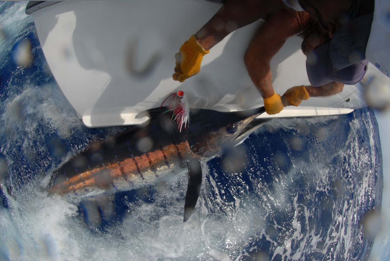 Private Fishing in St Lucia Charters - Image 10