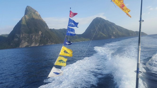 Private Fishing in St Lucia Charters - Image 11