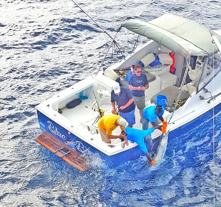 Private Fishing in St Lucia Charters - Image 26